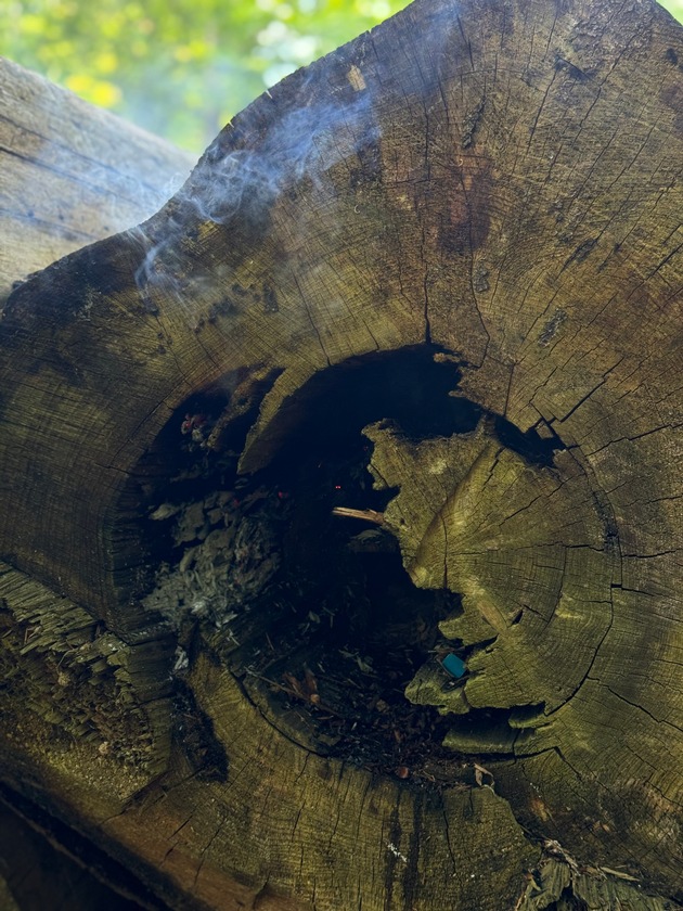 FW-EN: Rauchentwicklung aus Holzstapel im Wald