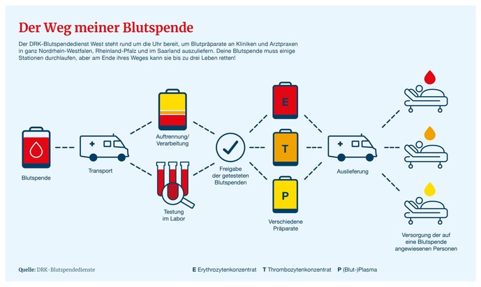 Weltkrebstag: Blutspenden sind für die Krebstherapie unverzichtbar