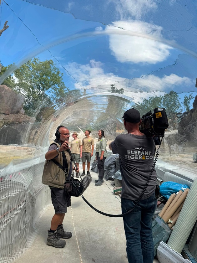 MDR-Zoo-Doku-Soap „Elefant, Tiger & Co.“ bietet mit Sonderfolgen exklusiven Blick auf Entstehung der neuen Wasserwelt Feuerland im Zoo Leipzig