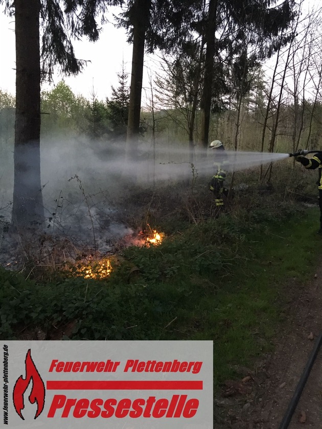 FW-PL: OT-Eschen. Unbekannte zündeln im Wald mit Feuerwerk. Waldbrand
