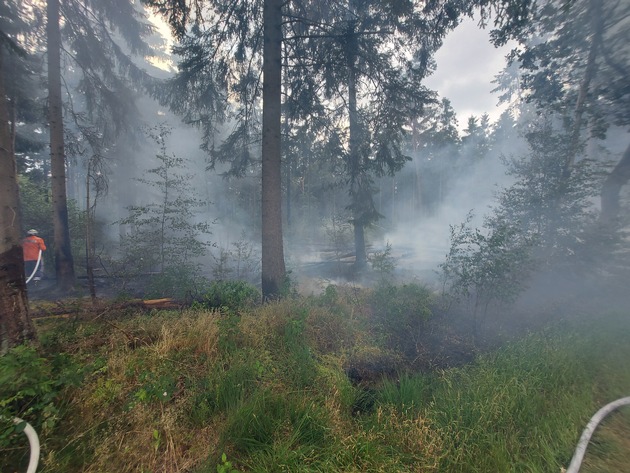 FW-ROW: Waldbrand endet Dank frühzeitiger Entdeckung glimpflich