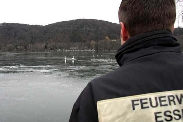 FW-E: Schwanenpärchen ergreift Flucht vor Rettern