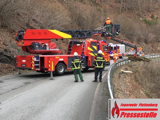 FW-PL: OT-Siesel. Bäume auf B 236 sorgten für über zweistündigen Feuerwehreinsatz.