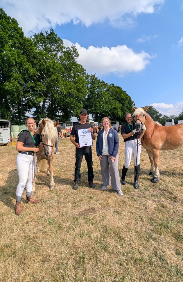 Internationale Haflinger-Gruppe formt größte Quadrille und reitet synchron zum Weltrekord