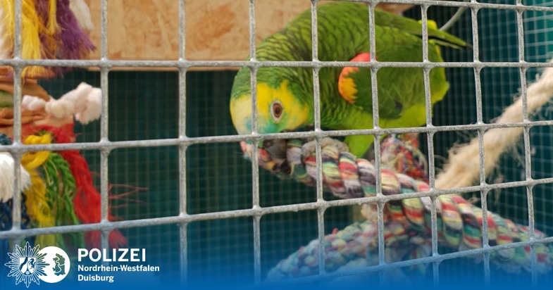 POL-DU: Neumühl: Papageien gestohlen - Zeugen gesucht