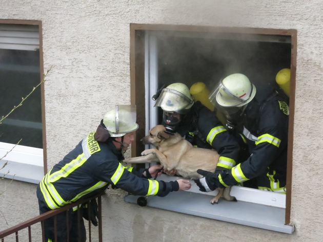 FW-AR: Feuerwehr rettet Hund aus verqualmter Wohnung
Feuerwehrmann atmet Rauch ein
