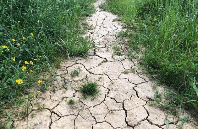 Drees & Sommer SE: Hitzewelle und zugleich Unwetter stehen laut Wetterprognosen bevor / Intelligentes Wassermanagement für Städte, Kommunen und Unternehmen notwendig