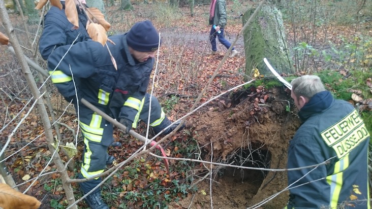 FW-D: Feuerwehr befreit Hund aus Notlage