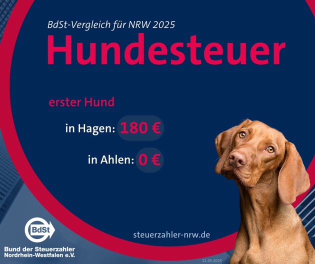Hundesteuer 2025: 37 Kommunen erhöhen – BdSt fordert Abschaffung
