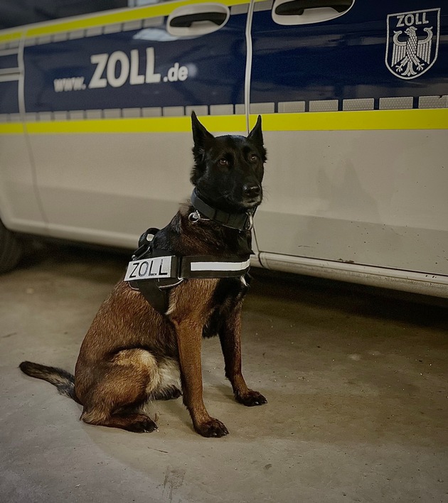 HZA-RO: Sechs Strafverfahren nach Kontrollen des grenzüberschreitenden Reiseverkehrs in Bus und Bahn eingeleitet / Zollhündin Siri erneut erfolgreich