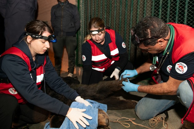 QUATRE PATTES sauve une ourse dansante maltraitée au Pakistan