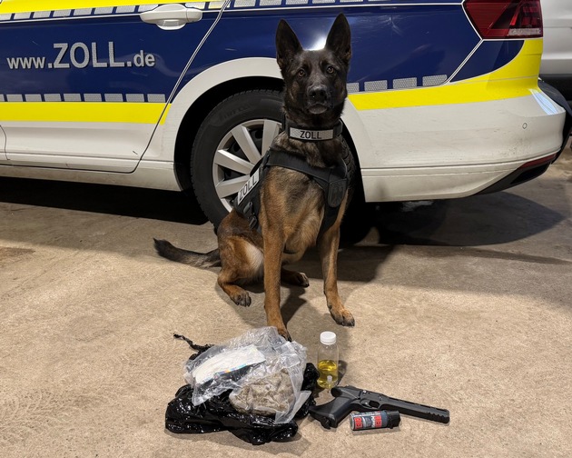 HZA-BI: Kokain in Kissen versteckt/Zollhündin "Skadi" enttarnt Schmuggelversuch auf A2 bei Bielefeld