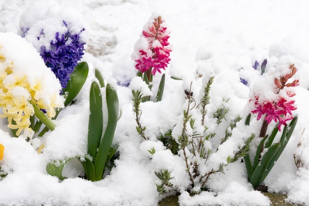 Kühler Frühlingsstart Normalfall  - Aprilwetter und Kartenglück wechseln jeden Augenblick