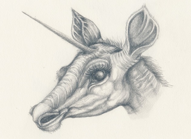 Anlässe im Naturmuseum SO im Monat November