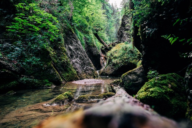 ++ Felsen, Alpweiden, Seen: Naturpark Nagelfluhkette ist neues Fahrtziel Natur &ndash; Abwechslungsreiche Gebirgskette zwischen Allg&auml;u und dem Bregenzerwald ++