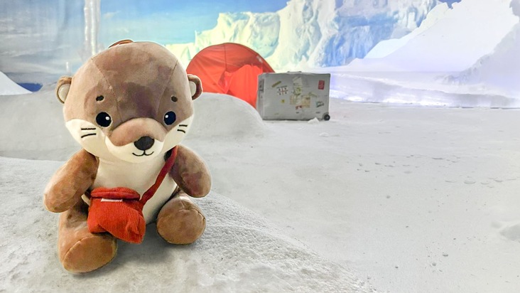 Neu: Kuscheltiere auf Weltreise
