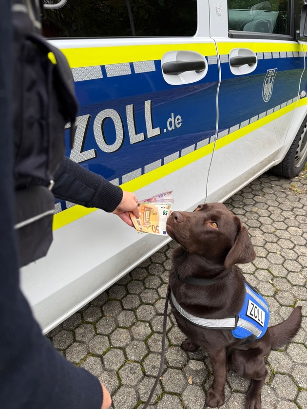 HZA-UL: Bargeldschmuggel am Bodensee/Spürhündin findet mehr als Reisender zugibt