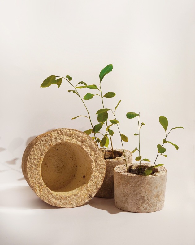 Von Herausforderungen bis zu innovativen Lösungen Jahresrückblick Verband Schweizer Pilzproduzenten VSP