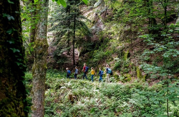 Tourismus Marketing GmbH Baden-W&uuml;rttemberg: Ein Wald voller Geschichten