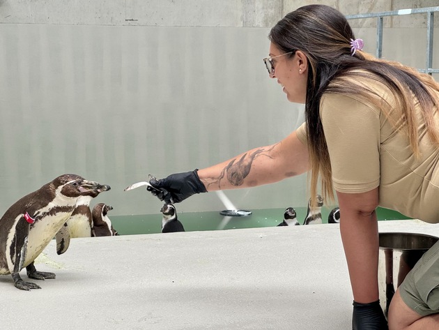 MDR-Zoo-Doku-Soap „Elefant, Tiger & Co.“ bietet mit Sonderfolgen exklusiven Blick auf Entstehung der neuen Wasserwelt Feuerland im Zoo Leipzig