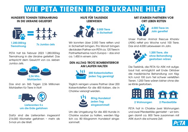 Vor einem Jahr: Angriff auf die Ukraine - wie PETA seitdem Tieren im Kriegsgebiet hilft