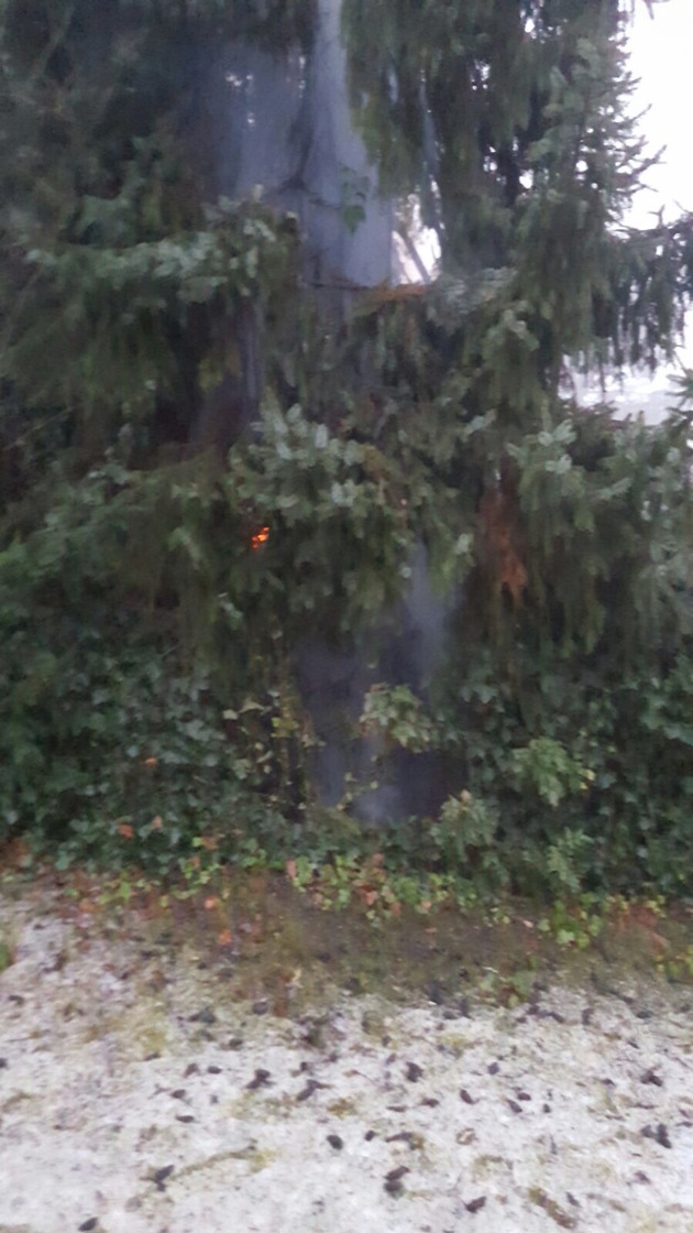 FW-AR: Da brennt der Baum: Feuerwehr löscht Tanne mit Schnellangriff!