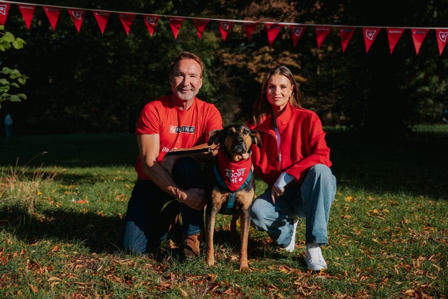 Mit Promi-Power zum Perfect Match: Laura Wontorra und Jochen Bendel setzen sich f&uuml;r Tierschutzhunde ein