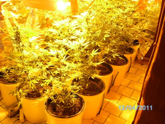 POL-CUX: Marihuana-Plantage im Keller+++ Download+++ Junge Frau verursacht 2 Unfälle und flüchtet +++ Polizei sucht Geschädigte zu vermutl. Kabeldiebstählen+++Download+++ Braker Polizei codiert Fahrräder+++