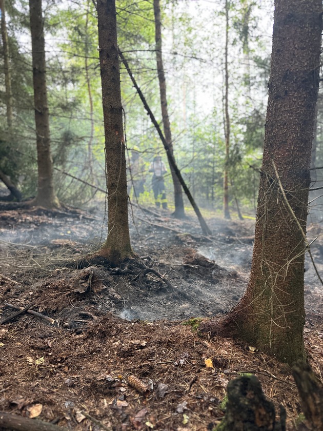 FW-DT: Flächenbrand im Leistruper Wald