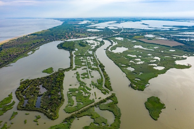 Aal-Festival in Comacchio: Die Sagra dell’Anguilla bringt Kulinarik und Tradition ins Po-Delta