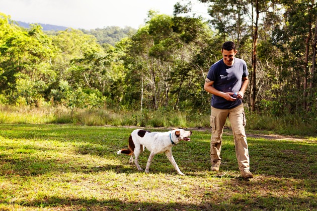 Australien bekommt neuen Sp&uuml;rhund zur Rettung von Koalas