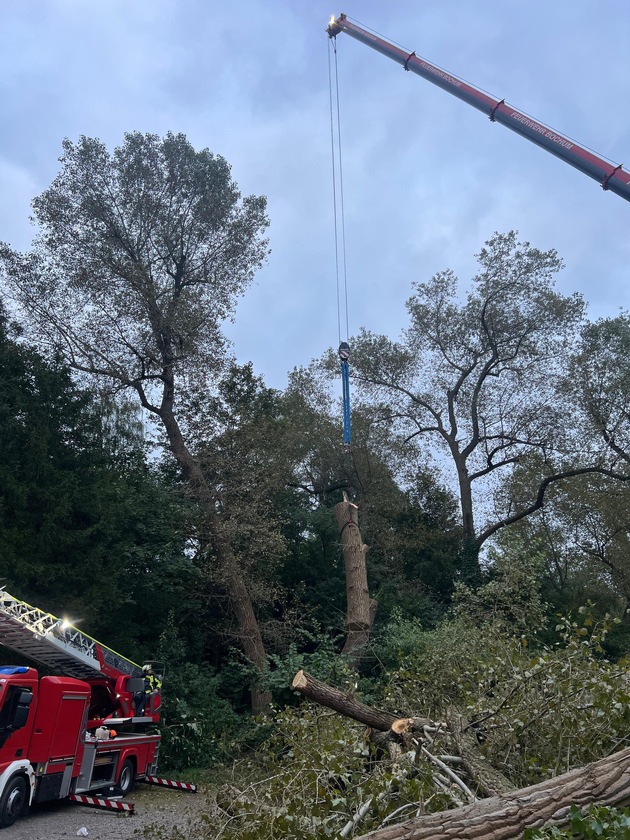 FW-BO: Abgebrochener Baum verursacht längeren Feuerwehreinsatz