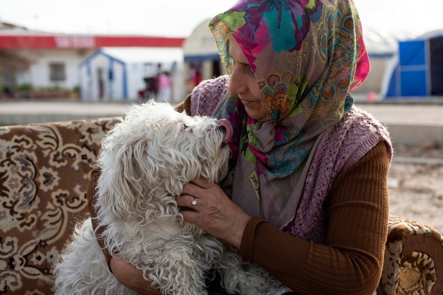 QUATRE PATTES au secours des animaux en Turquie et en Syrie