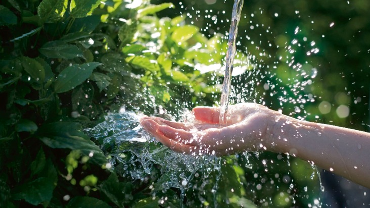 Trinkwasser: Unser wichtigstes Lebensmittel sicher und hygienisch nutzen / Maßnahmen zum Erhalt der Trinkwassergüte im Haushalt