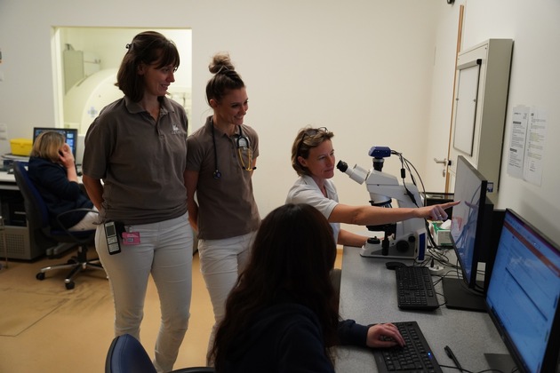 AniCura Kleintierspezialisten Augsburg erweitert Spektrum: Spezialisiertes Dermatologie-Team für anspruchsvolle Haut-, Ohren- und Krallenfälle