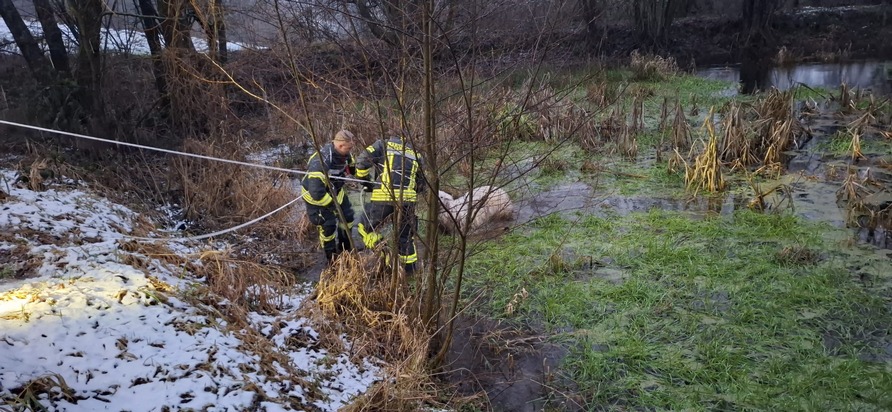 FW-EN: Schaf steckt in Tümpel fest - Tierrettung in Breckerfeld