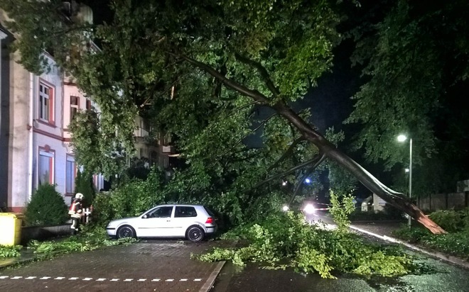 FW-GE: Umgestürzte Bäume blockieren Straßen in Gelsenkirchen