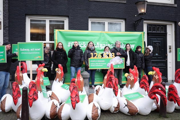 Hühner-Protest gegen Subway in Amsterdam trotzt dem Sturm