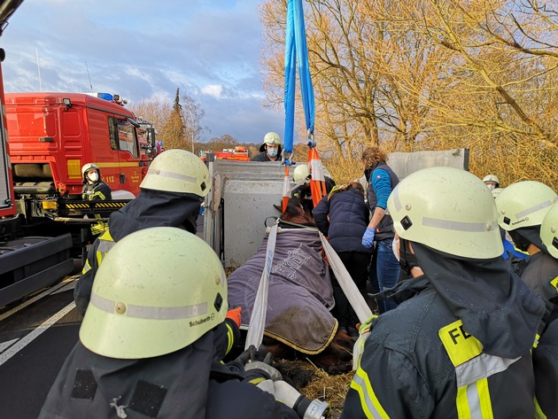 FW Dülmen: Feuerwehr befreit verunfalltes Pferd