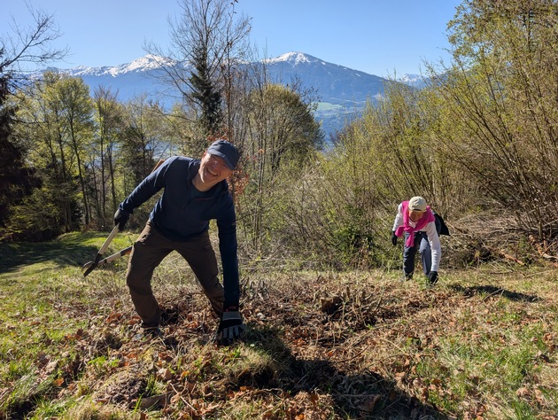 Internationaler Tag der biologischen Vielfalt / Biodiversität braucht Pflege zum Mitmachen / lavera unterstützt Hochalmpflege im Naturpark Karwendel