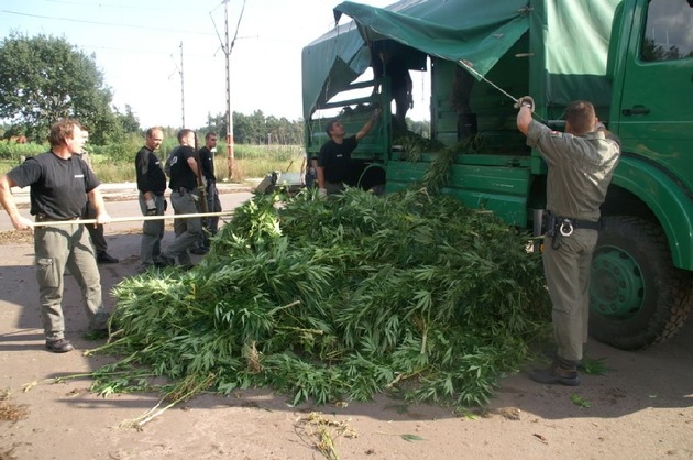 POL-NI: Groß angelegte Outdoor-Cannabisplantage entdeckt -Bilder im Download-