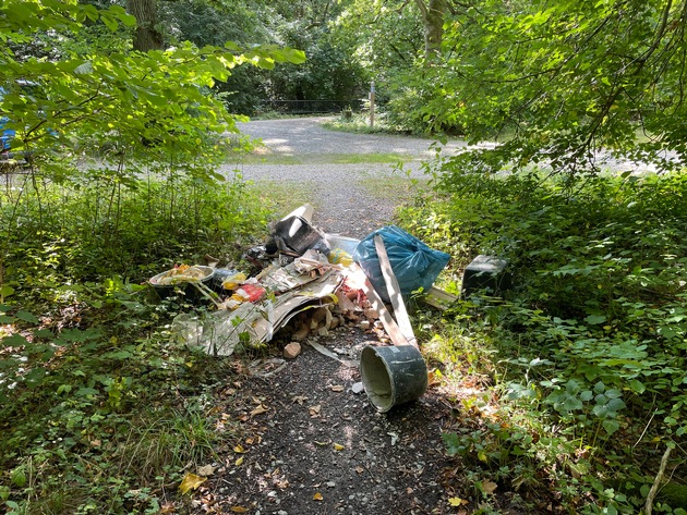 LPI-NDH: Ablagerung im Wald