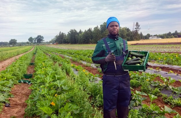 Deutscher Bauernverband (DBV): Sechs junge Landwirtinnen und Landwirte aus Uganda absolvieren Austausch in Deutschland / 10. Runde des International Young Farmers' Exchange Program (IYFEP) erfolgreich abgeschlossen