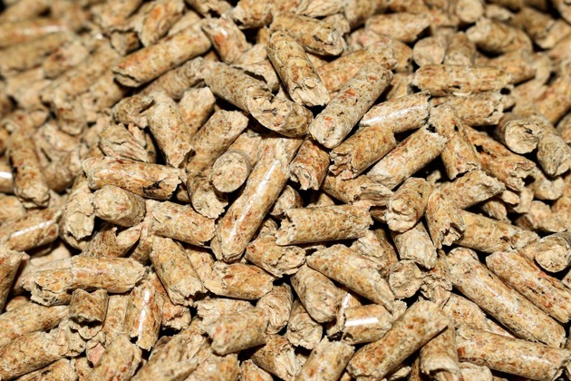 Entwurf des Geb&auml;udemodernisierungsgesetzes droht Heizen mit Holz auszuschlie&szlig;en