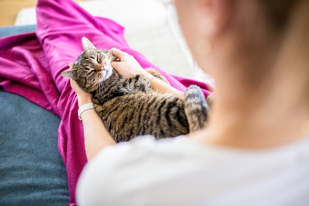 &quot;So schnurrt Deutschland&quot; - Neue WHISKAS® Umfrage zeigt, wie emotional die Beziehung deutscher Katzenhalter zu ihren Vierbeinern ist