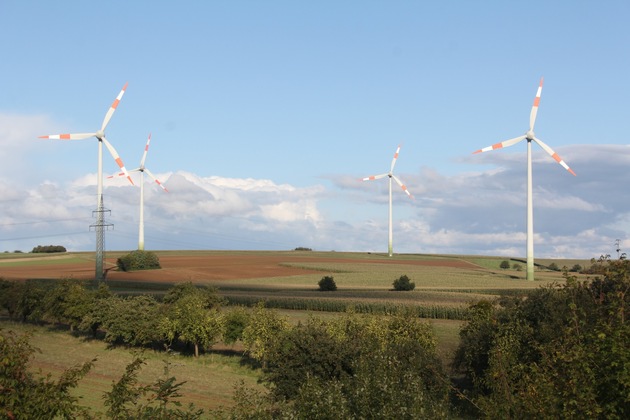 DBU: Artenschutzprüfung bei Windenergieausbau unterstützen