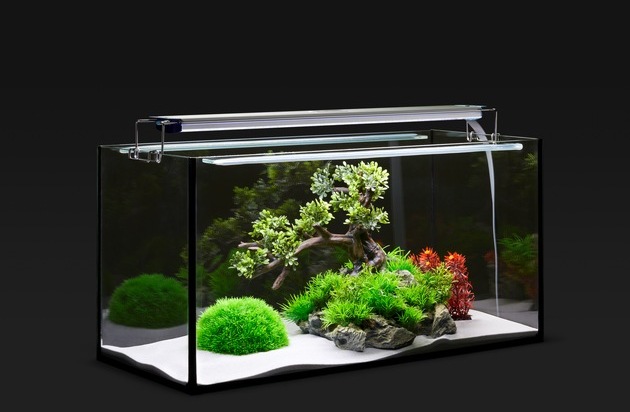 LEDaquaristik UG (haftungsbeschränkt): Innovation in der Aquaristik: aquaLUMix LED-Kompaktsystem