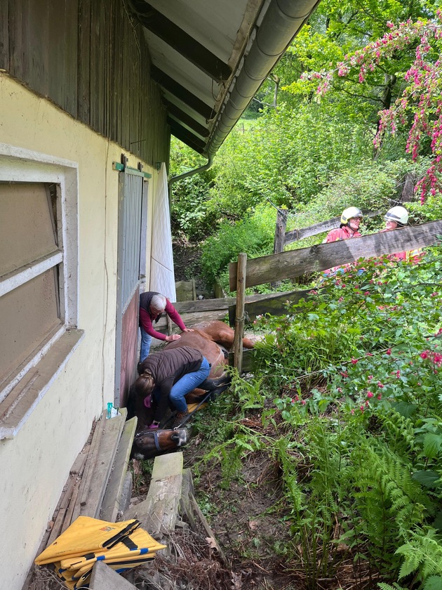 FW-Velbert: Pferd aus misslicher Lage befreit