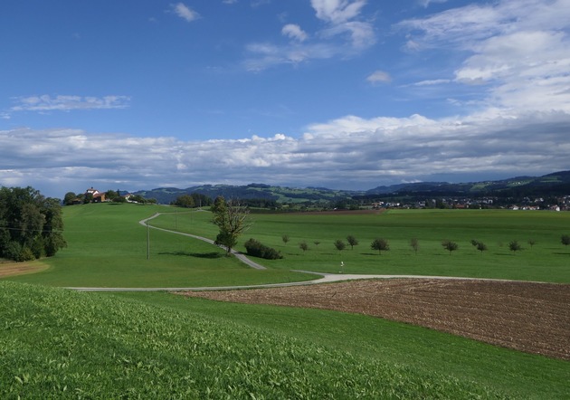 28. Herbsttagung im Naturmuseum «Der Boden – das Universum unter unseren Füssen»