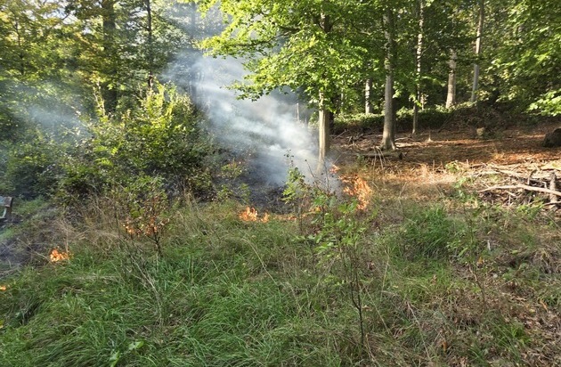 FW Lage: Flächenbrand im Lagenser Stadtwald
